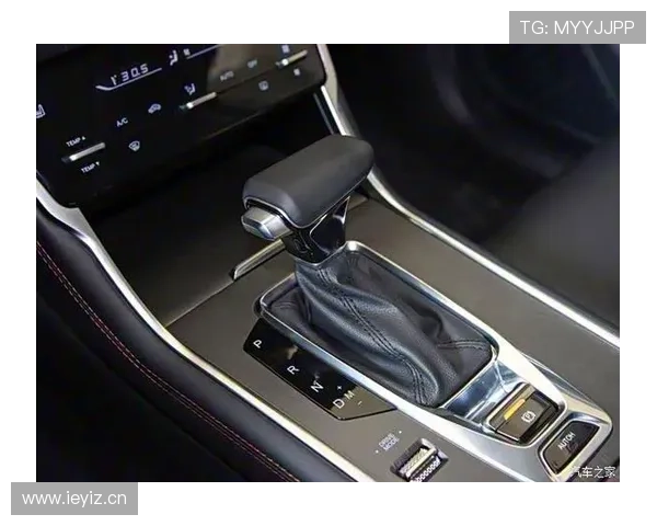 蓝鲸中文站：不断丰富中文内容资源满足不同用户需求的专业平台